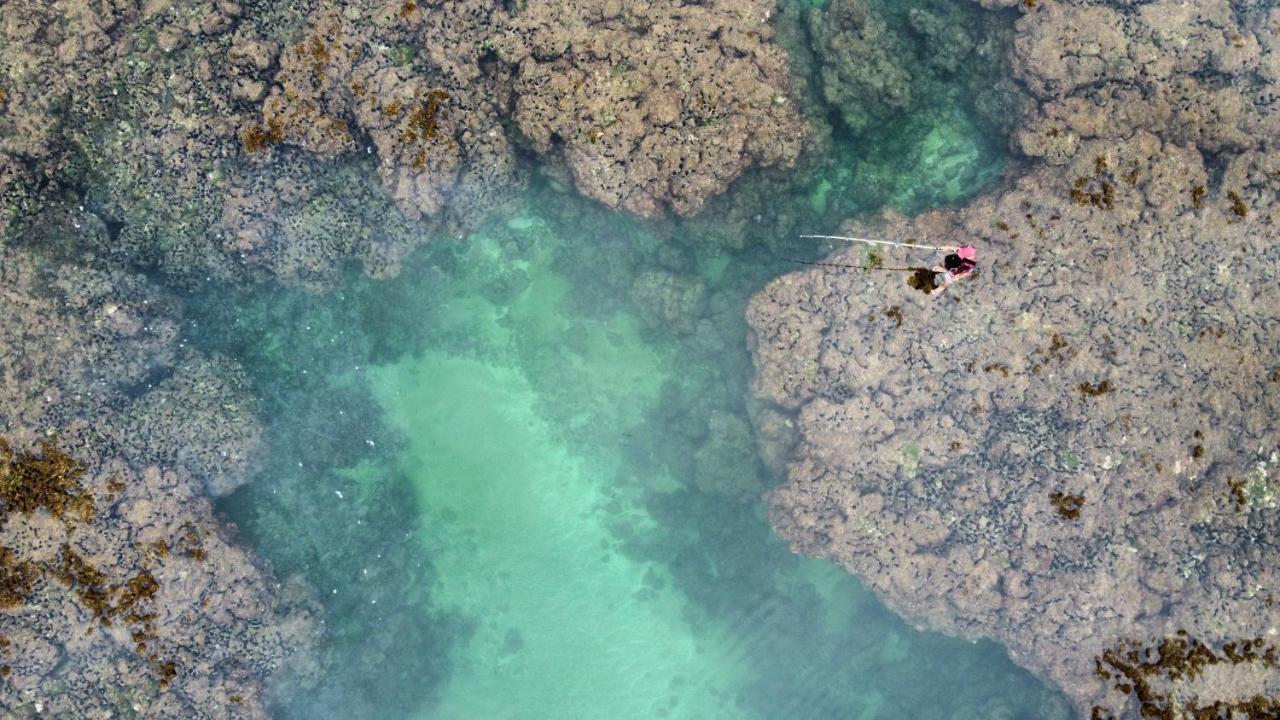 Cabana Fluir - Taipu De Fora - Peninsula De Marau バーラ・グランデ エクステリア 写真