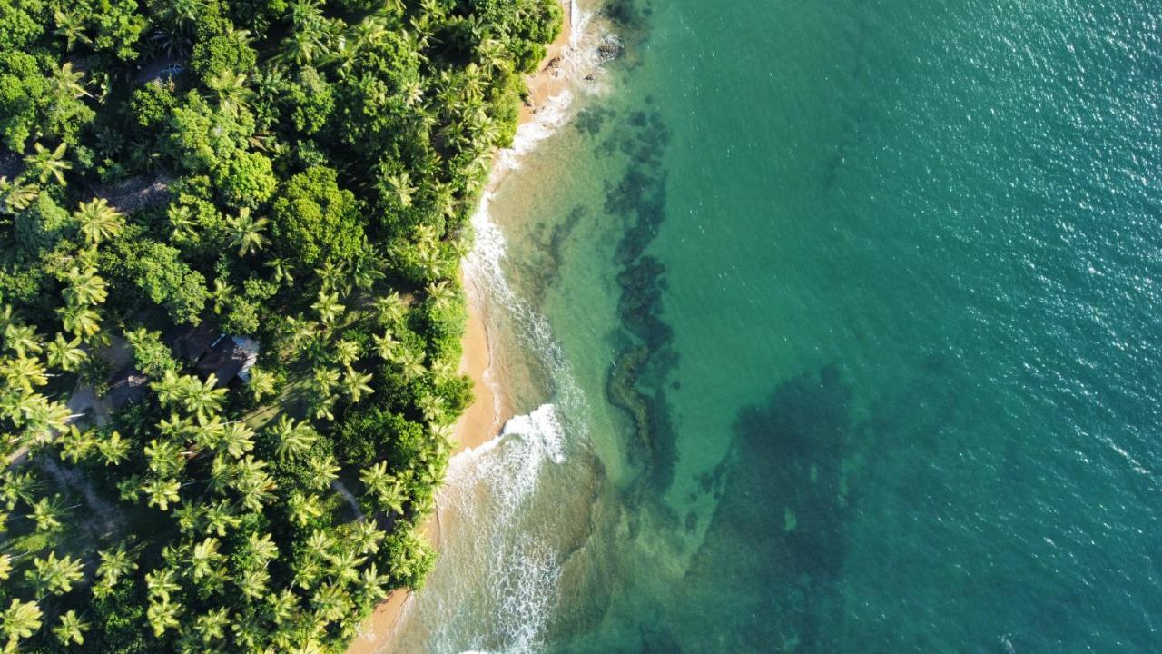 Cabana Fluir - Taipu De Fora - Peninsula De Marau バーラ・グランデ エクステリア 写真