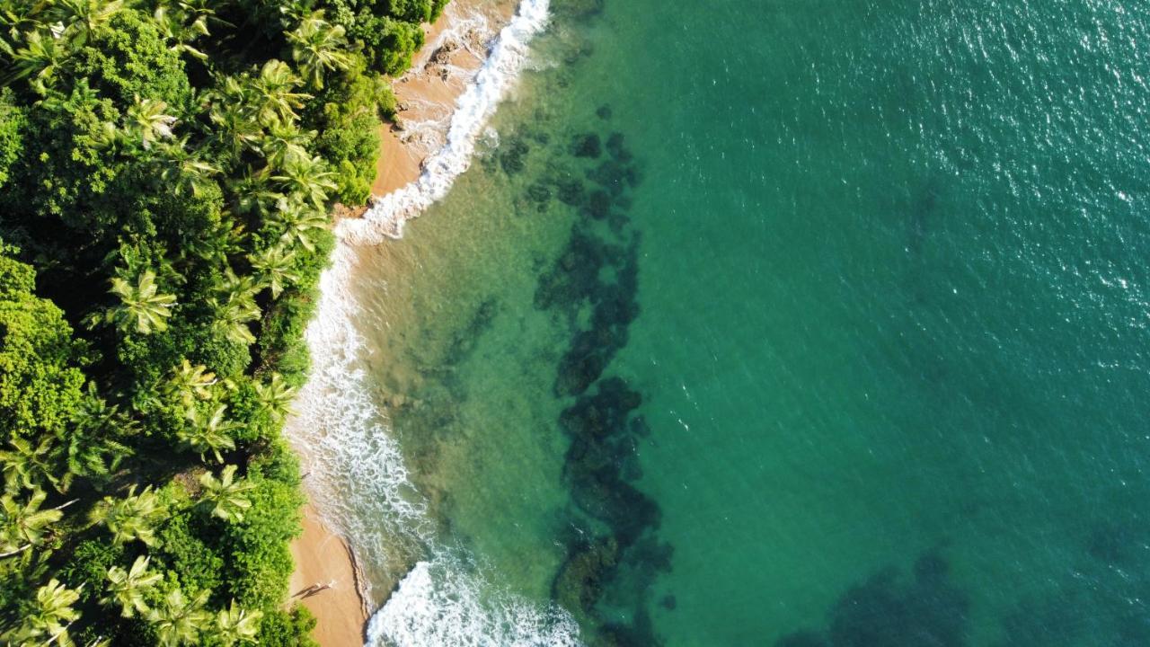 Cabana Fluir - Taipu De Fora - Peninsula De Marau バーラ・グランデ エクステリア 写真