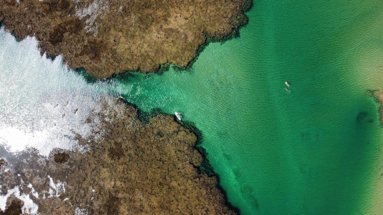 Cabana Fluir - Taipu De Fora - Peninsula De Marau バーラ・グランデ エクステリア 写真